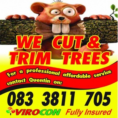 Tree Felling Vaal Triangle with Virocon