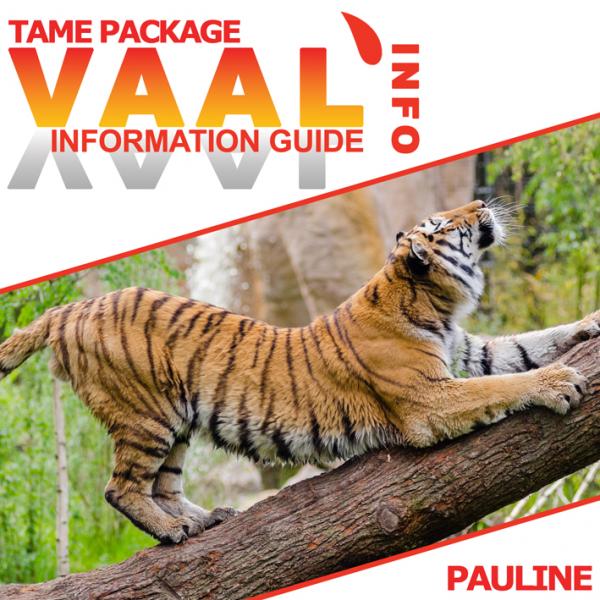 Pauline Business Tame (Demo)